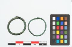 Foto von Bronzering (NHMW-PRAE-026202)